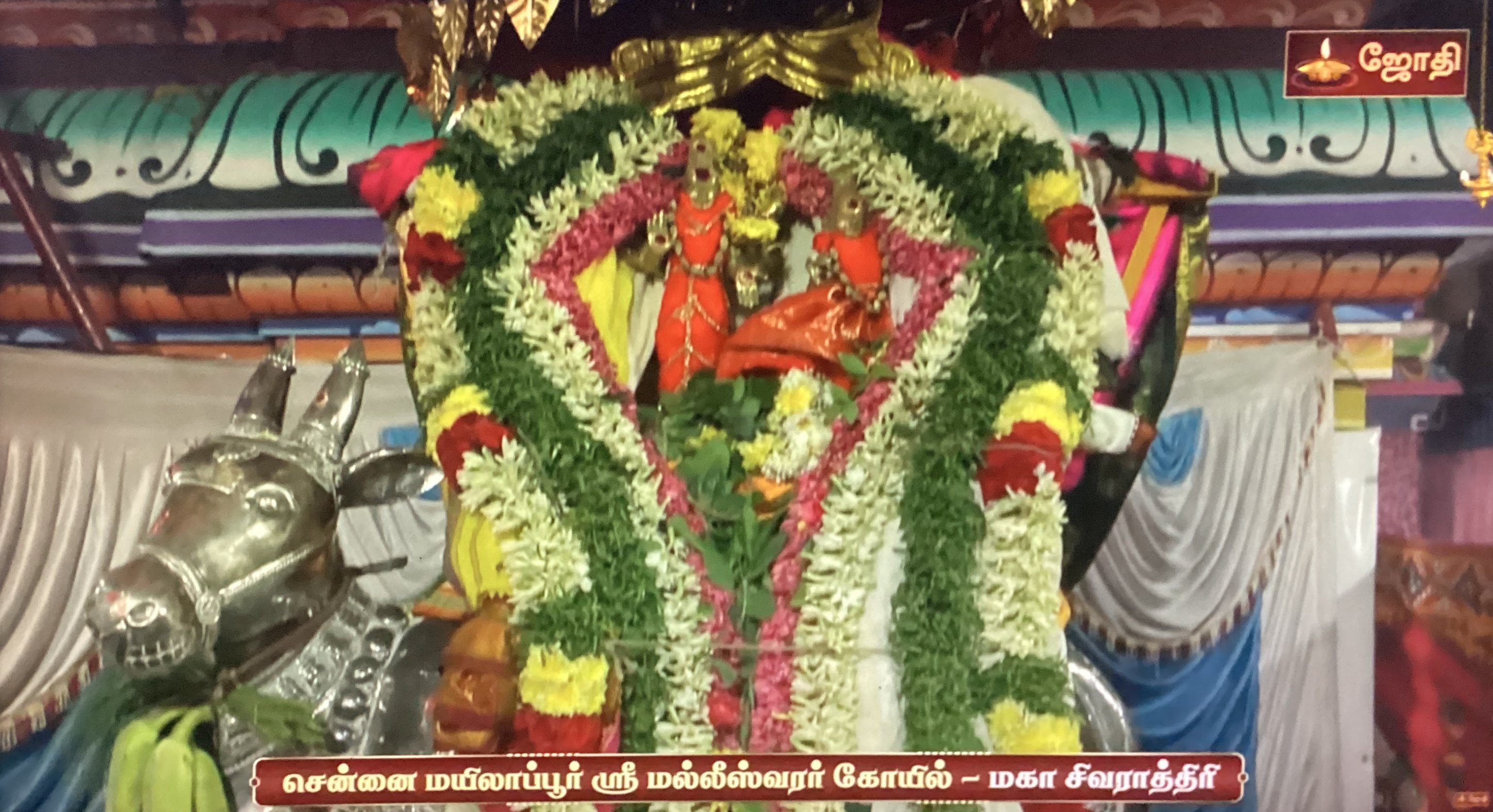 Maha Sivaratri - Chennai Mylapore Malleeswarar Koil