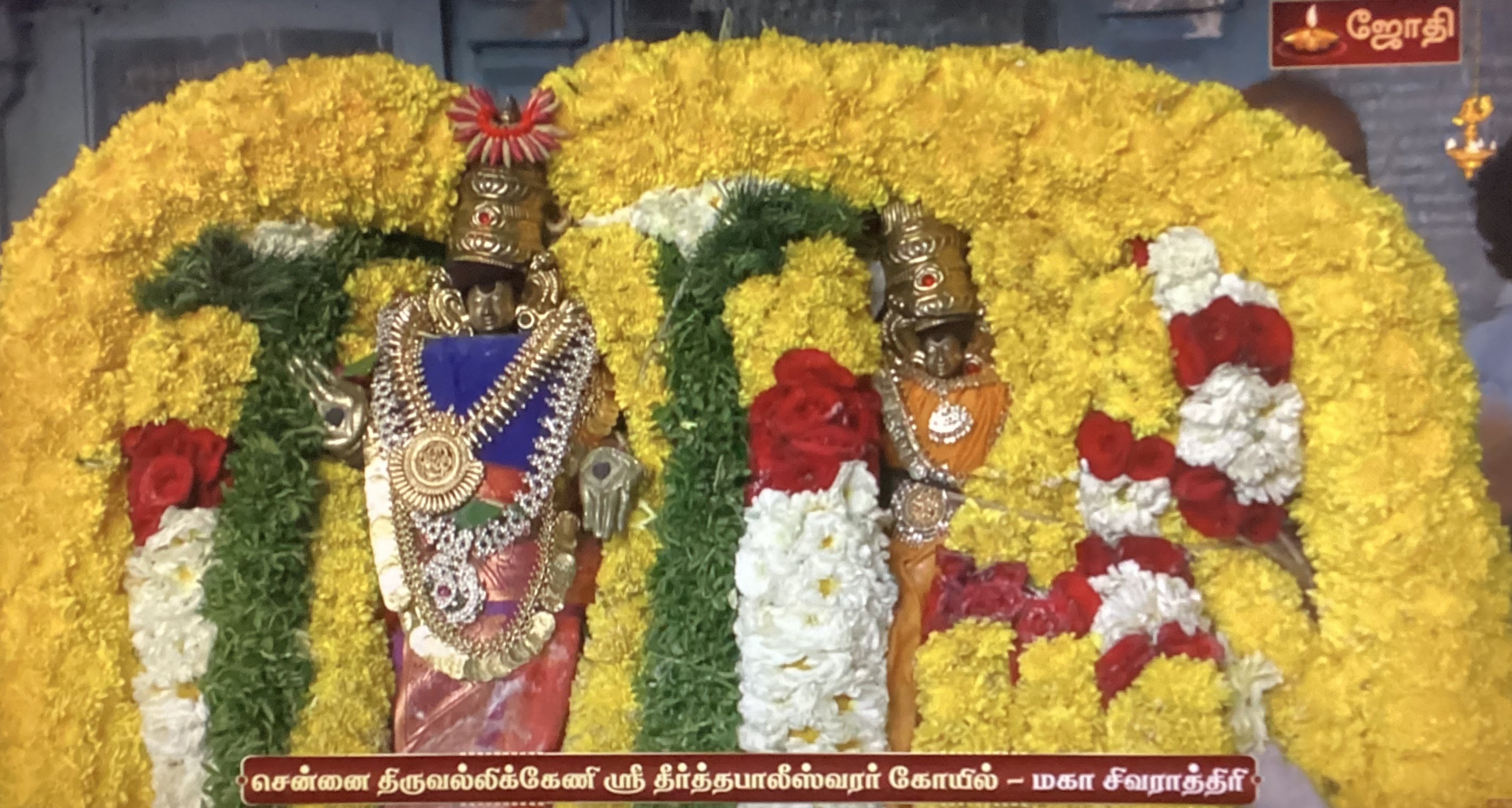 Maha Sivaratri - Chennai Triplicane Thirthabaleeswarar Koil