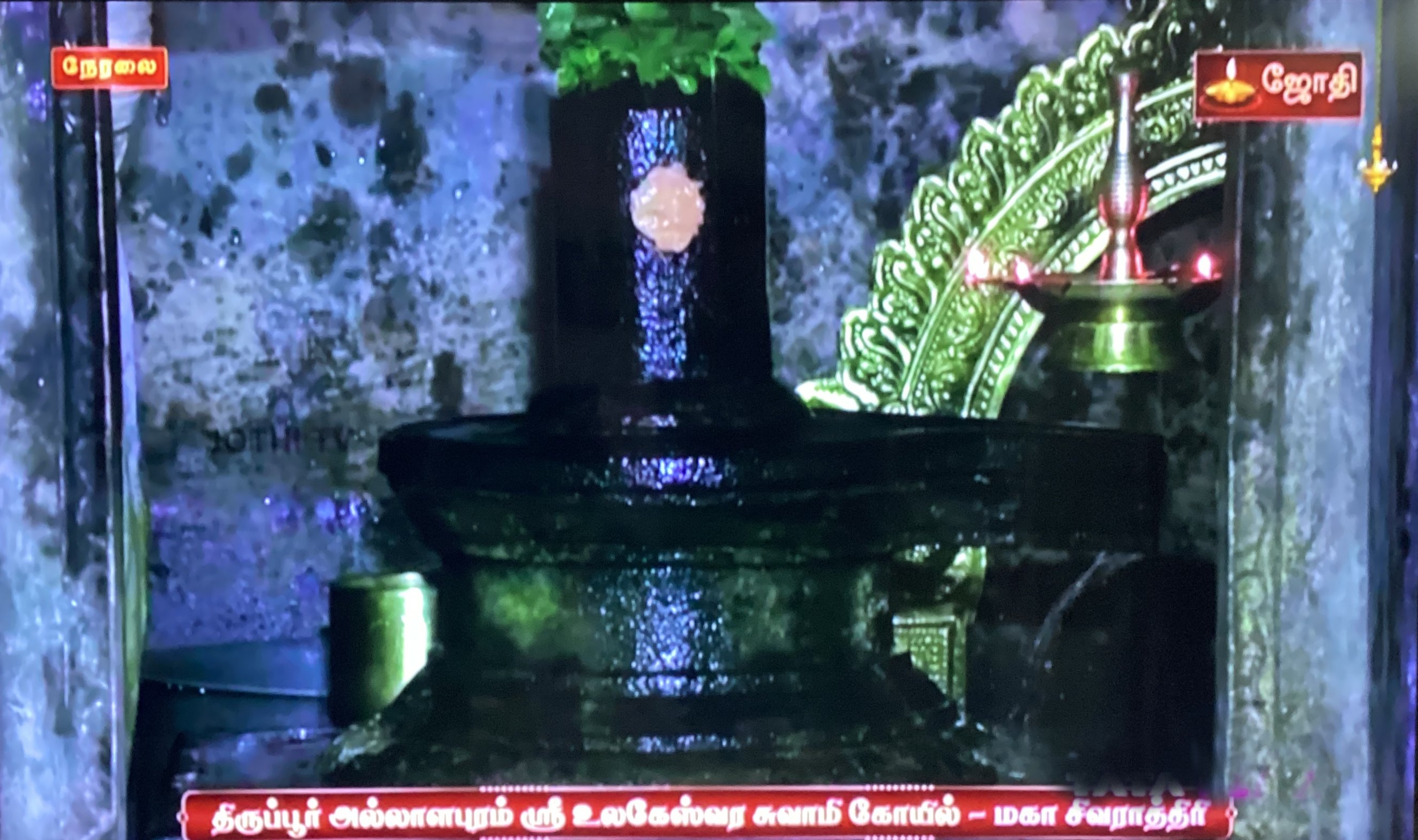Maha Sivaratri - Thirupur Allaalapuram Ulageswaraswami koil