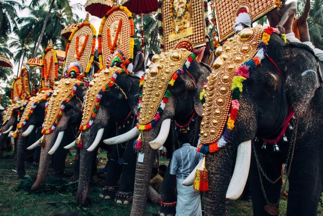 Carnival Festival of Karnataka